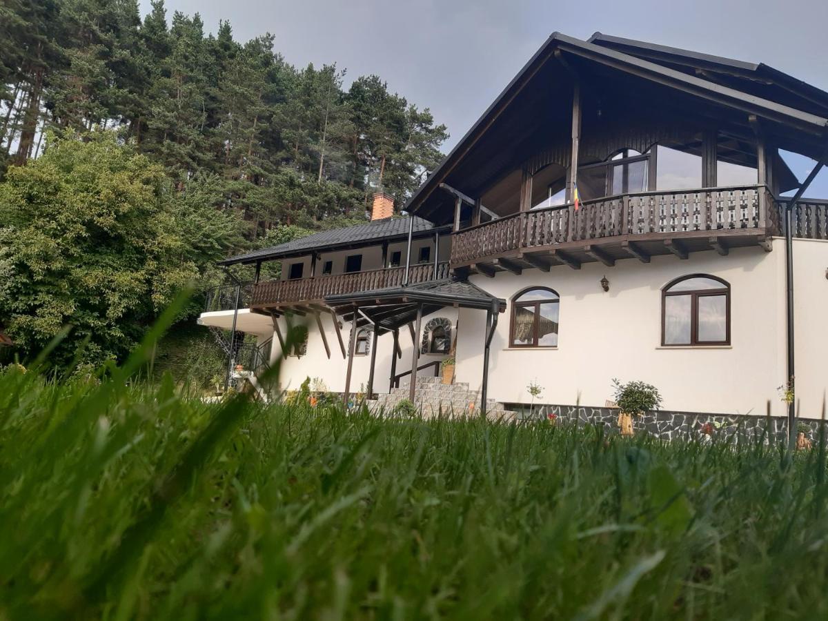 Casa Dintre Pini Villa Paltinoasa Exterior photo