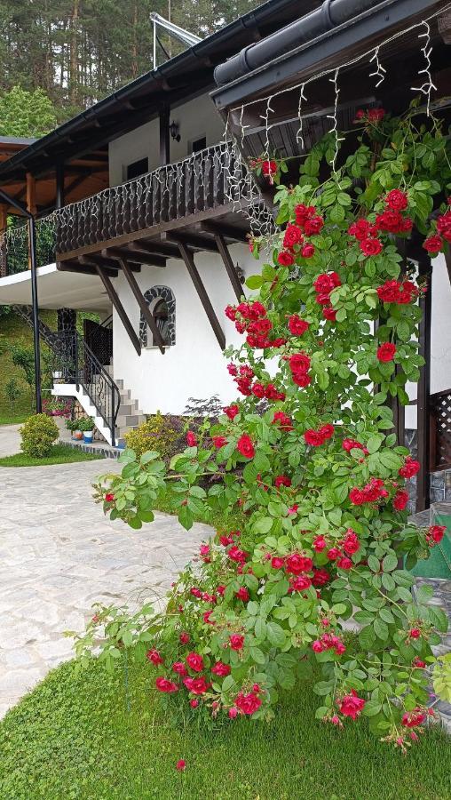 Casa Dintre Pini Villa Paltinoasa Exterior photo