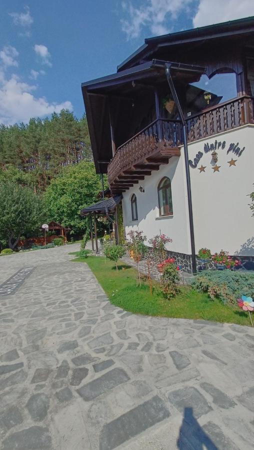 Casa Dintre Pini Villa Paltinoasa Exterior photo